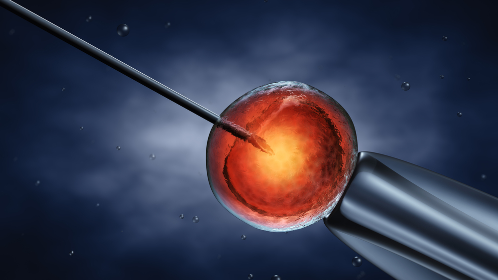 maturazione in vitro degli ovociti