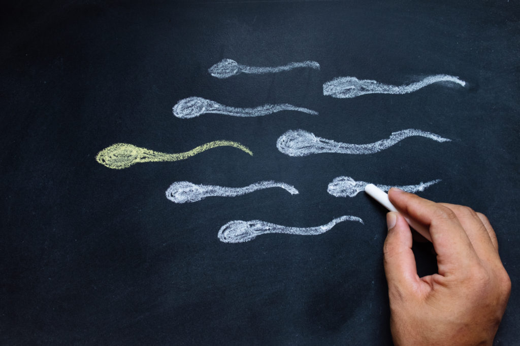 Spermiogramma e analisi del liquido seminale qual'è la procedura da seguire? Spermiogramma e analisi del liquido seminale qual'è la procedura da seguire?